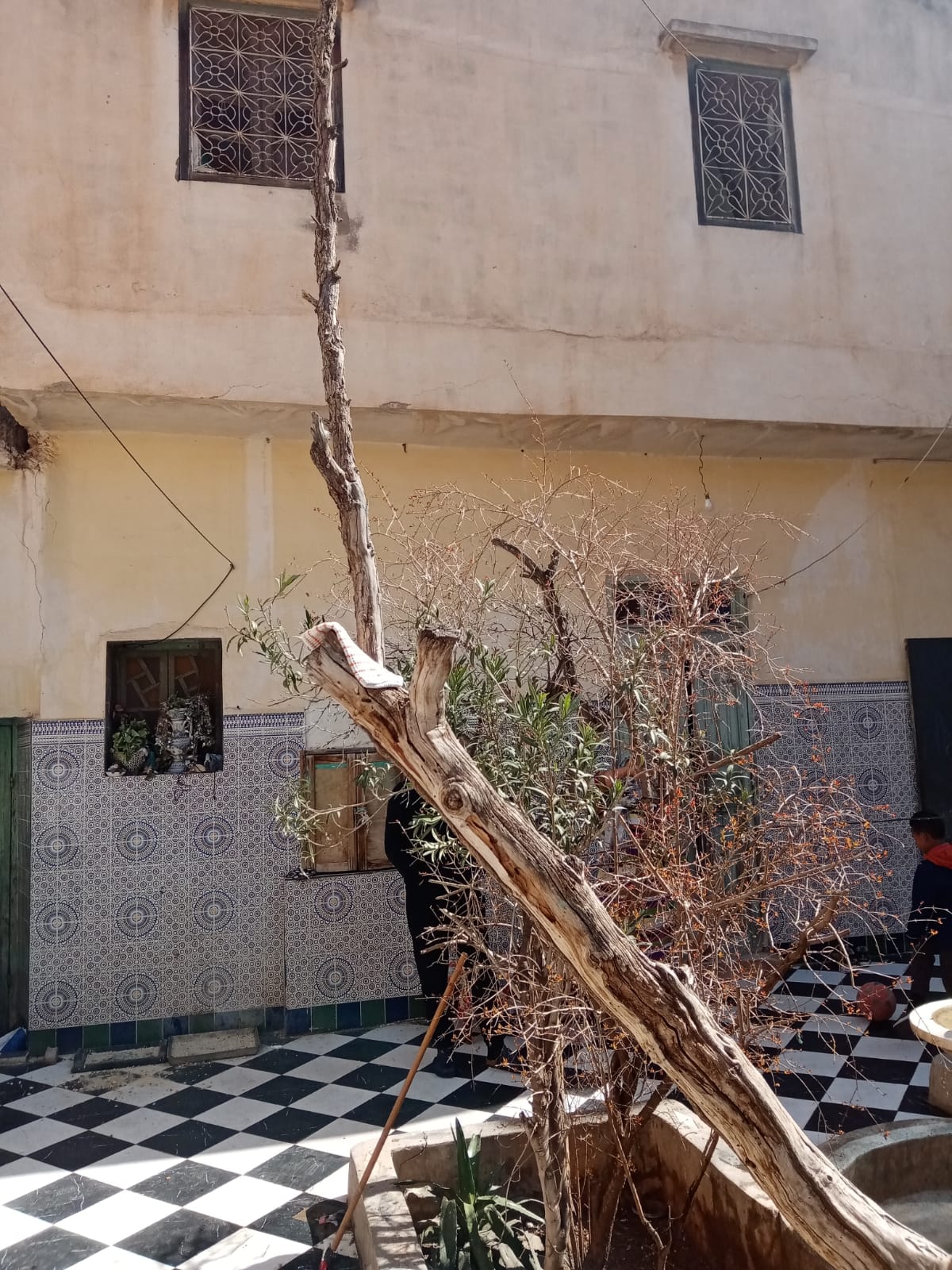 Riad à vendre Zaouia Marrakech